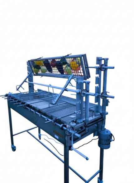 Gratar multifunctional inox